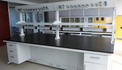 上海临进实验室设备供应 浙江生物实验室设计家具 装潢设计