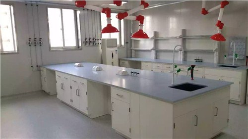 上海临进实验室设备供应 装潢设计 福建药品实验室设计设计