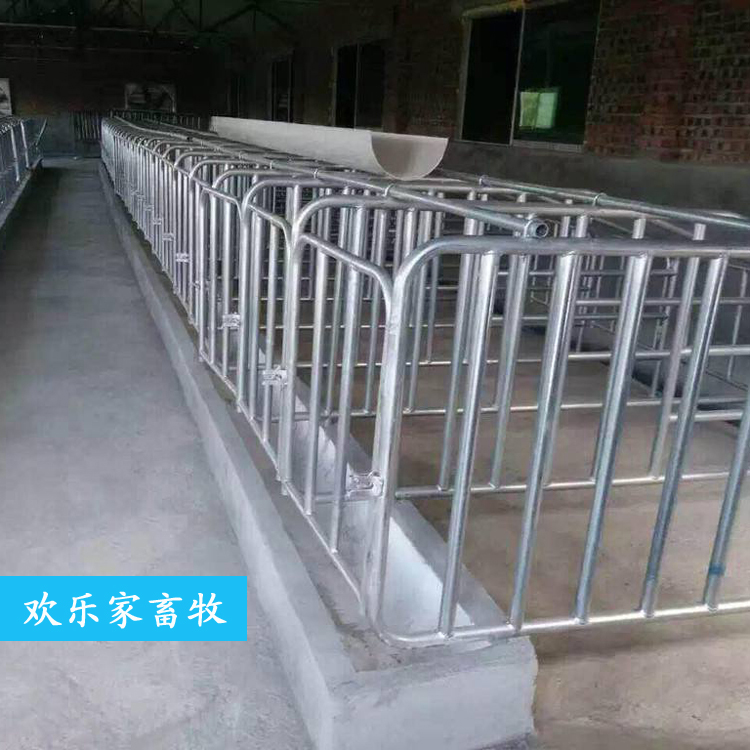 养殖场母猪限位栏 复合板限位栏 欢乐家畜牧 畜牧、养殖业机械 母猪定位栏2