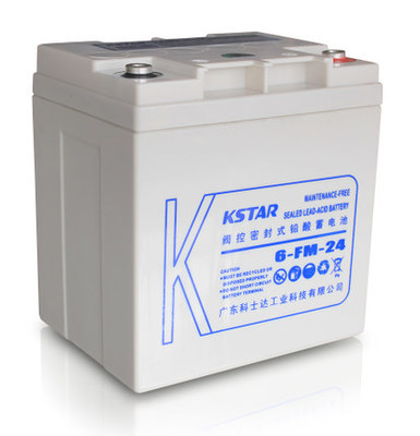 科士達蓄電池12V24AH鉛酸免維6-FM-24UPS直流屏EPS太陽能儲能電源2