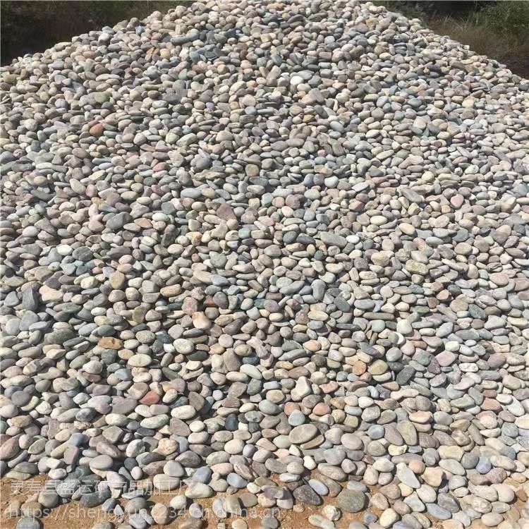 货源充足 大块鹅卵石报价 沙石、砾石、卵石 盛运沧州天然鹅卵石厂家1