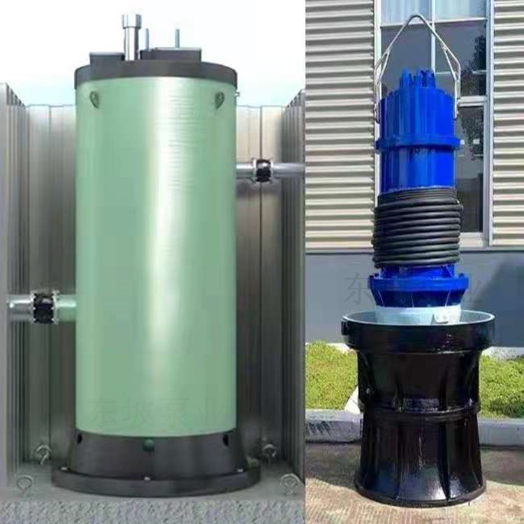 大流量便携式轴流泵 便携式轴流泵 离心泵 污水潜水泵3