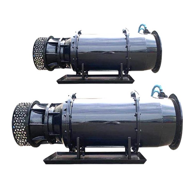 离心泵 混流泵 城市应急潜水泵 轴流泵井筒式安装 大排量轴流泵2