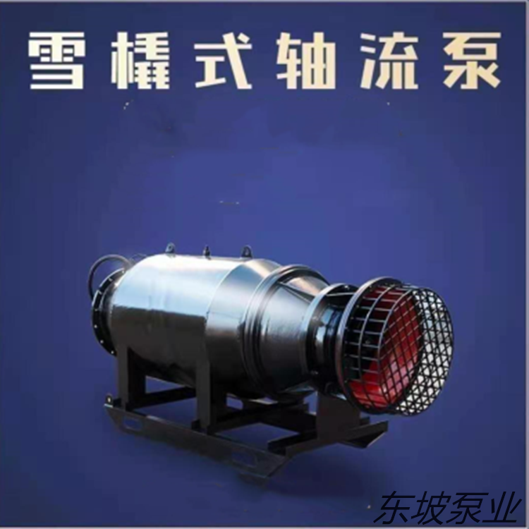潜水轴流泵 轴流潜水电泵 轴流泵 便携式潜水泵9