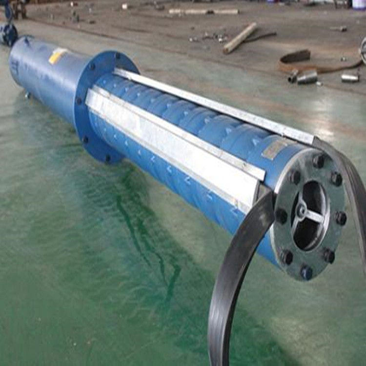 离心泵 井用潜水泵 抽水潜水泵 不锈钢热水潜水泵 深井用潜水泵4