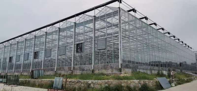 智能玻璃温室 钢架大棚玻璃温室 玻璃大棚 鑫泽农业建设厂家3