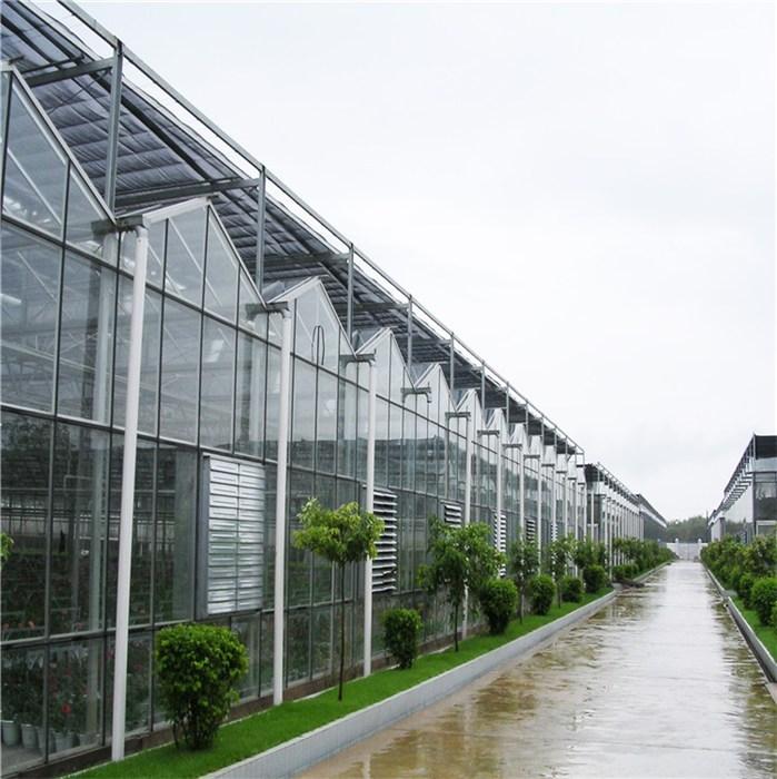 型号齐全物美价廉 现代农业玻璃温室 鑫泽玻璃温室厂家直销 纹格玻璃温室5