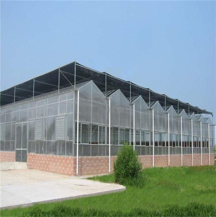 青州玻璃温室大棚制造 玻璃板温室大棚工程 型号可定制 现代化温室新型大棚5