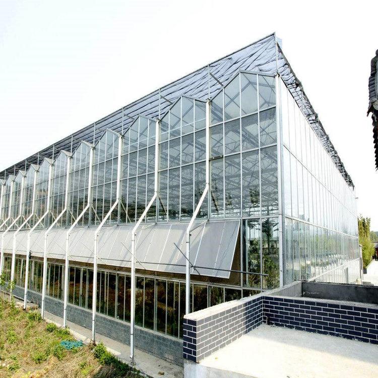 智能玻璃温室 钢架大棚玻璃温室 玻璃大棚 鑫泽农业建设厂家1