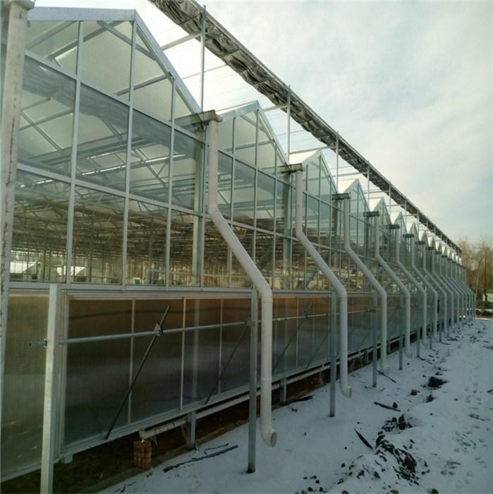 鑫泽智能玻璃温室价格 玻璃温室大棚基础造价 玻璃温室大棚结构图 现货供应型号齐全2