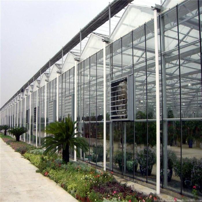智能玻璃温室 钢架大棚玻璃温室 玻璃大棚 鑫泽农业建设厂家7