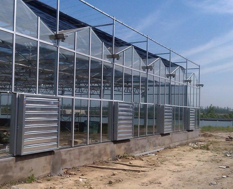 型号齐全物美价廉 现代农业玻璃温室 鑫泽玻璃温室厂家直销 纹格玻璃温室