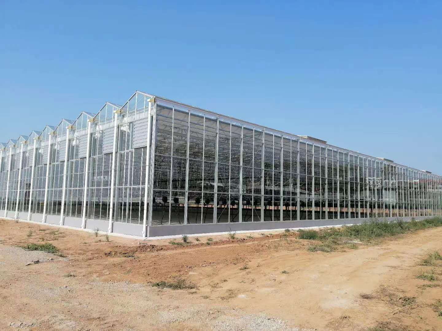 智能玻璃温室 钢架大棚玻璃温室 玻璃大棚 鑫泽农业建设厂家4