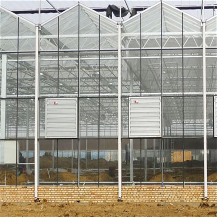 鑫泽玻璃温室大棚厂家 玻璃温室大棚结构图 型号多样 西安玻璃温室大棚价格9