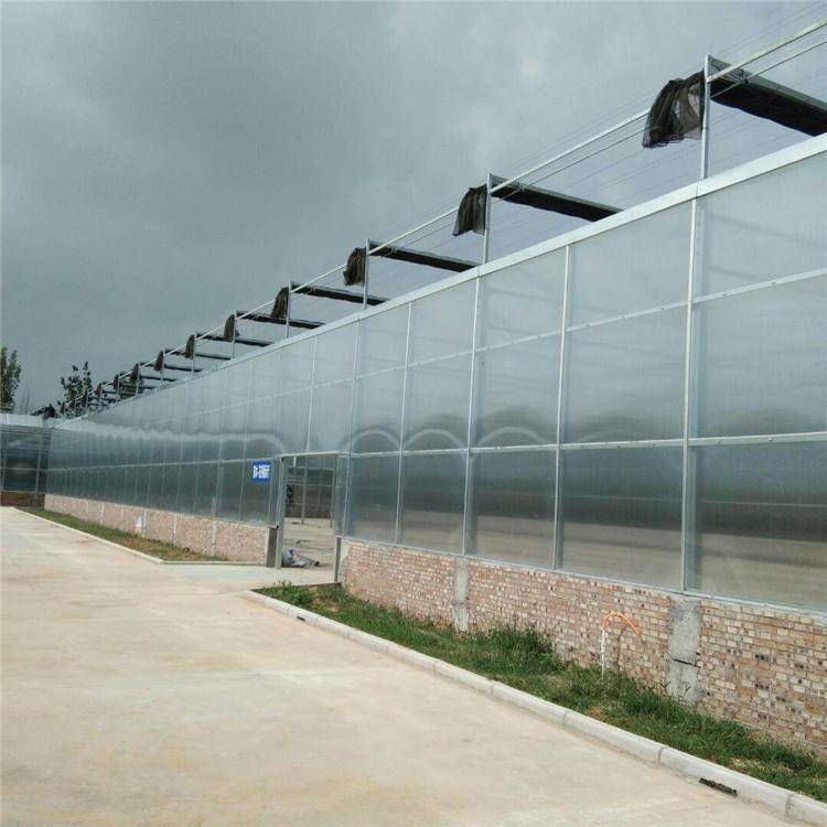 青州玻璃温室大棚制造 玻璃板温室大棚工程 型号可定制 现代化温室新型大棚8