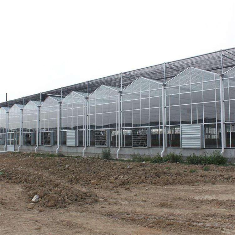 青州玻璃温室大棚制造 可上门安装 连栋智能温室大棚价格 清流玻璃温室智能大棚7