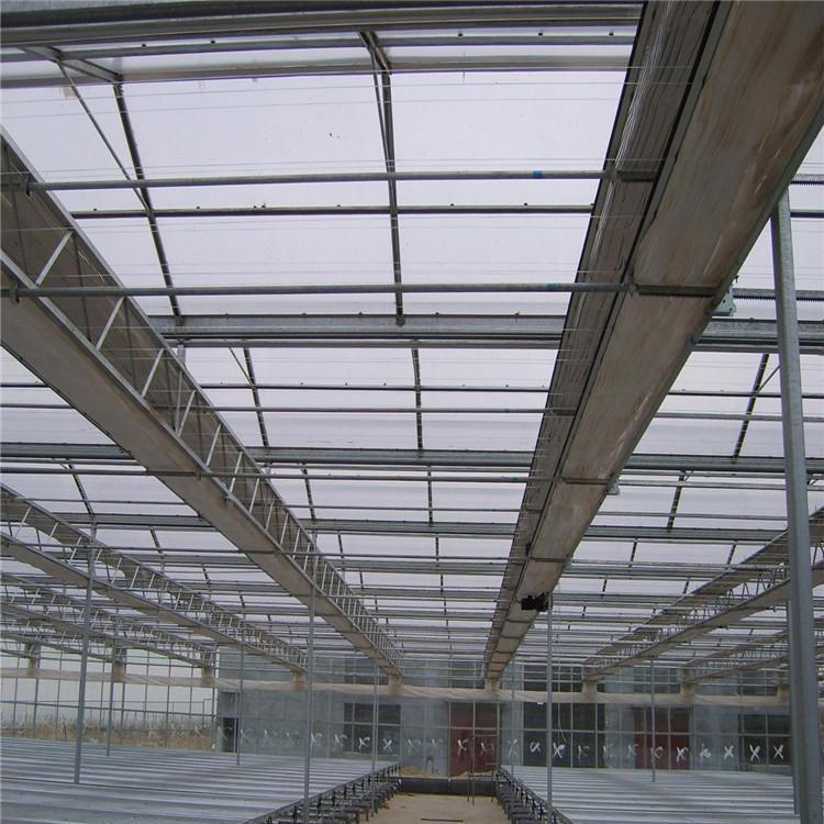 可移动天窗 玻璃智能温室大棚 可定制智能温室大棚 鑫泽种植玻璃温室厂家9