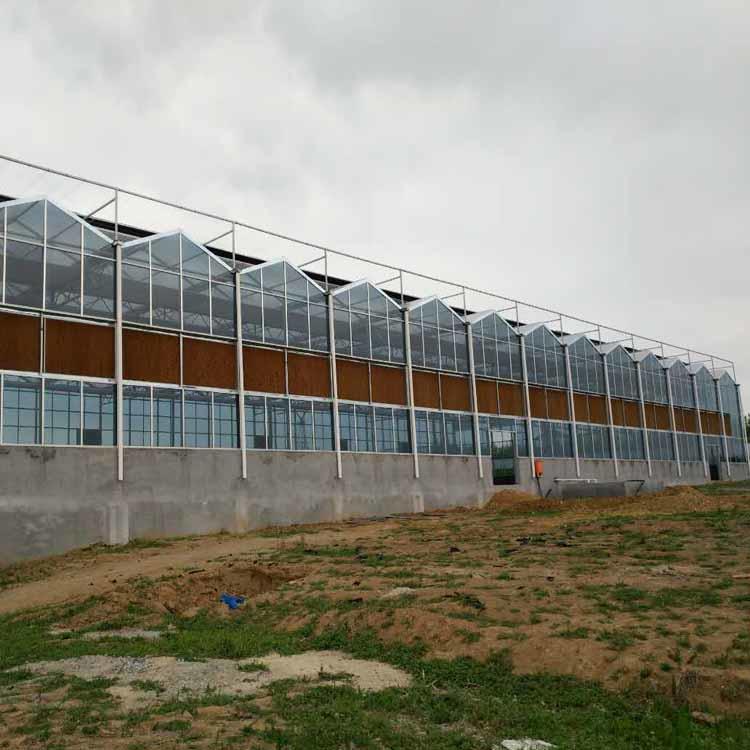 青州玻璃温室大棚制造 玻璃板温室大棚工程 型号可定制 现代化温室新型大棚9