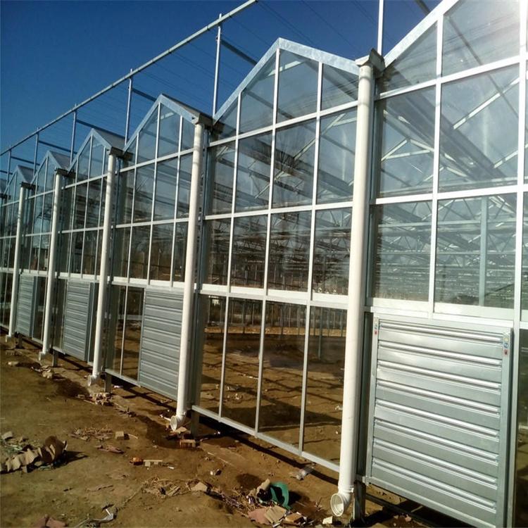 青州玻璃温室大棚制造 玻璃板温室大棚工程 型号可定制 现代化温室新型大棚4