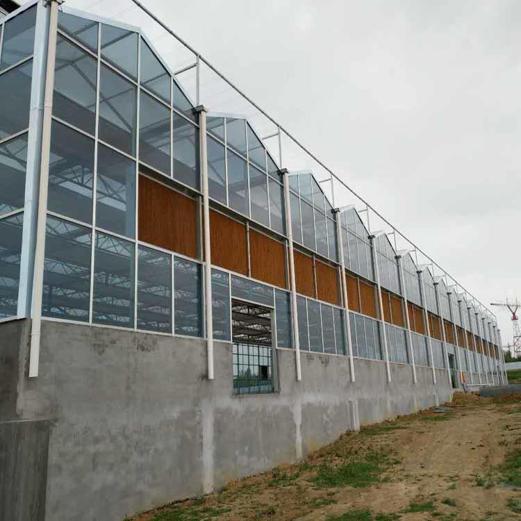 山东玻璃温室玻璃大棚承建 包设计图纸 青州智能玻璃温室 智能大棚定制6