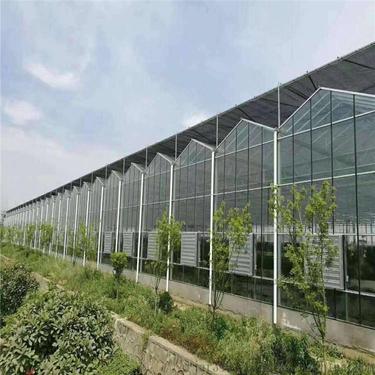 青州玻璃温室大棚制造 可上门安装 连栋智能温室大棚价格 清流玻璃温室智能大棚1