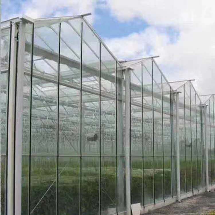 青州玻璃温室大棚制造 可上门安装 连栋智能温室大棚价格 清流玻璃温室智能大棚9