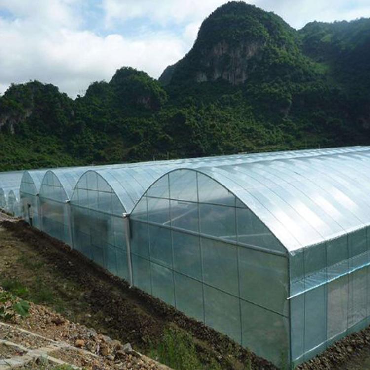 可移动天窗 玻璃智能温室大棚 可定制智能温室大棚 鑫泽种植玻璃温室厂家2