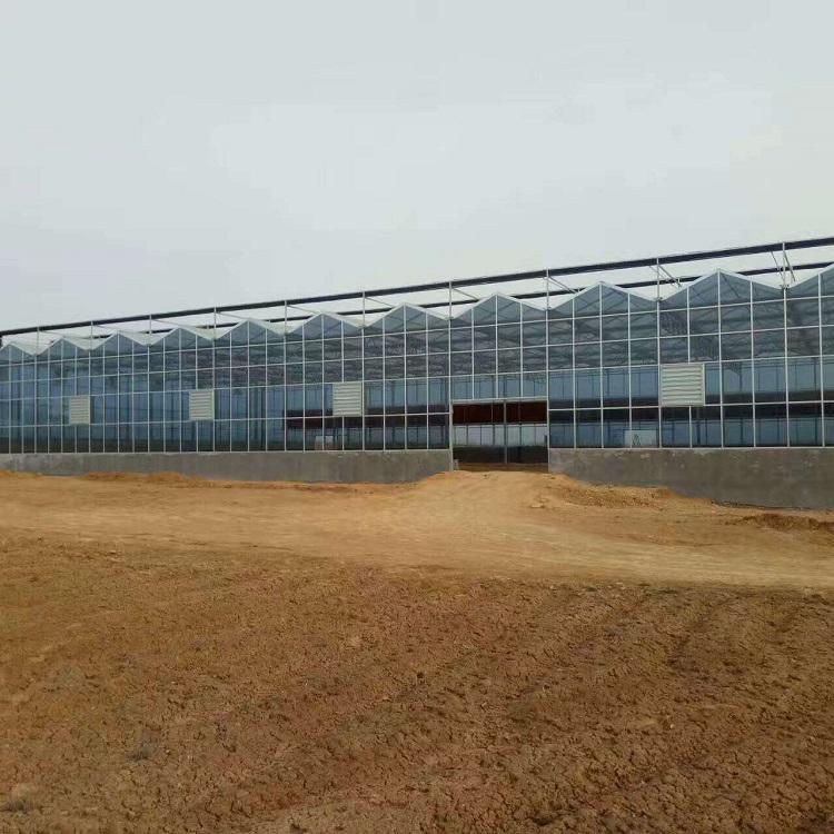 型号齐全物美价廉 现代农业玻璃温室 鑫泽玻璃温室厂家直销 纹格玻璃温室9