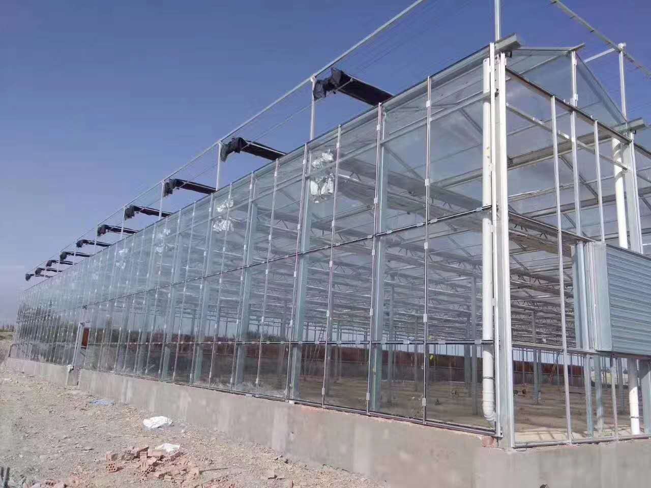 可上门设计 智能玻璃温室建设 现货供应玻璃温室 现代农业玻璃温室1