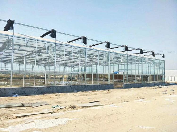 可上门设计 智能玻璃温室建设 现货供应玻璃温室 现代农业玻璃温室5