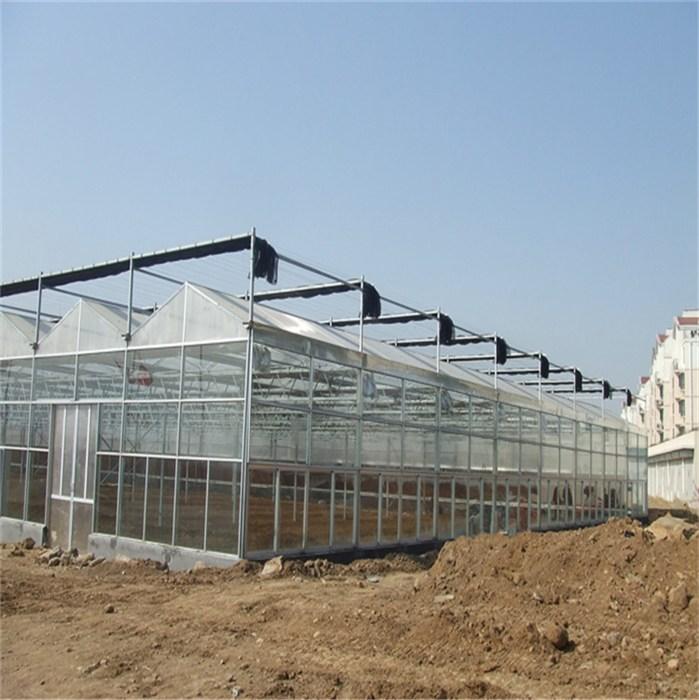 智能玻璃温室 钢架大棚玻璃温室 玻璃大棚 鑫泽农业建设厂家5
