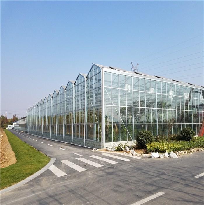 型号齐全物美价廉 现代农业玻璃温室 鑫泽玻璃温室厂家直销 纹格玻璃温室8