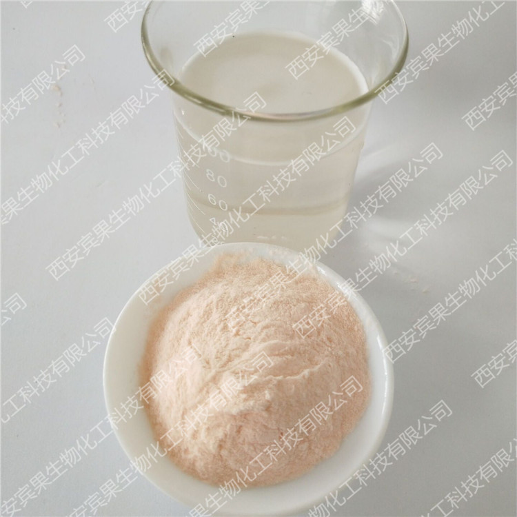 烘焙西柚粉原料 提供样品 西安宾果 西柚果粉 西柚水果粉 速溶西柚果汁粉1