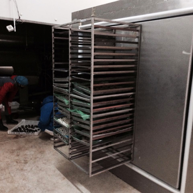 低温速冻柜 保鲜高品质大型转门速冻机速冻柜 100kg超低温果蔬肉制品4