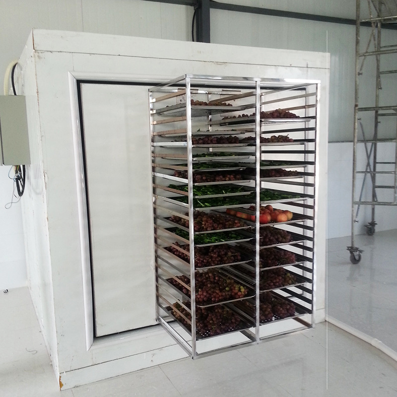 低温速冻柜 保鲜高品质大型转门速冻机速冻柜 100kg超低温果蔬肉制品