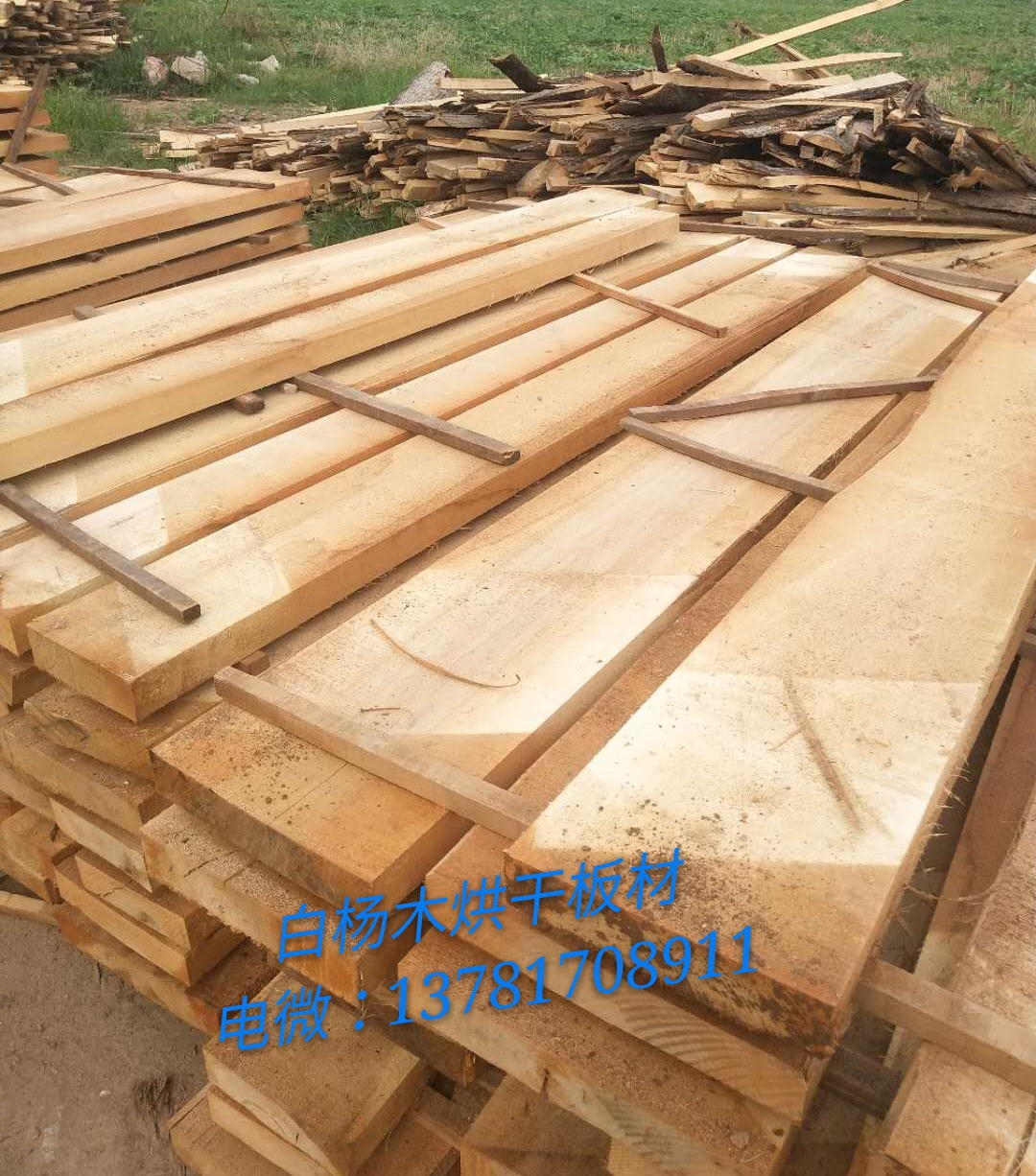 建淼木业 价格 供应 河南白杨木板材 白杨木烘干板材5