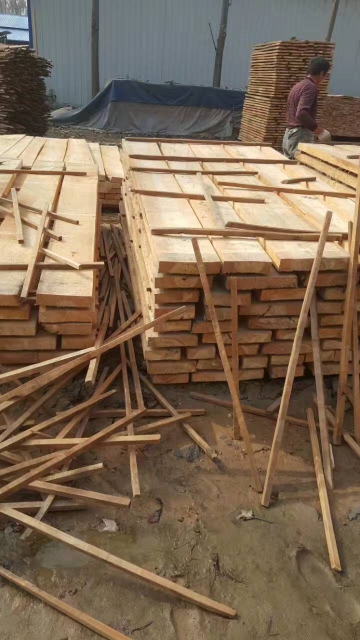 白椿木烘干板材 河南热压白杨木板材 厂家 供应 建淼木业6