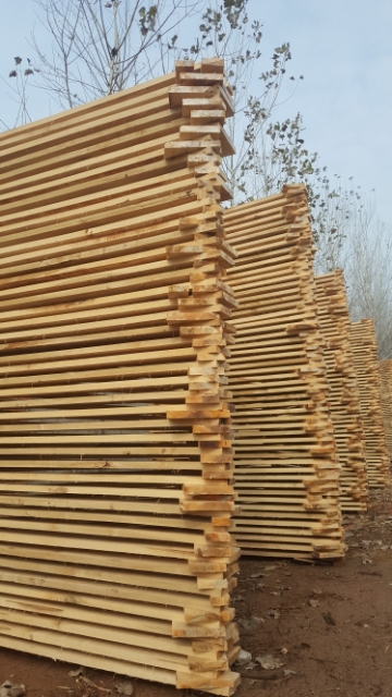 白杨木板材 椿木家具板材厂家首先河南建淼木业1