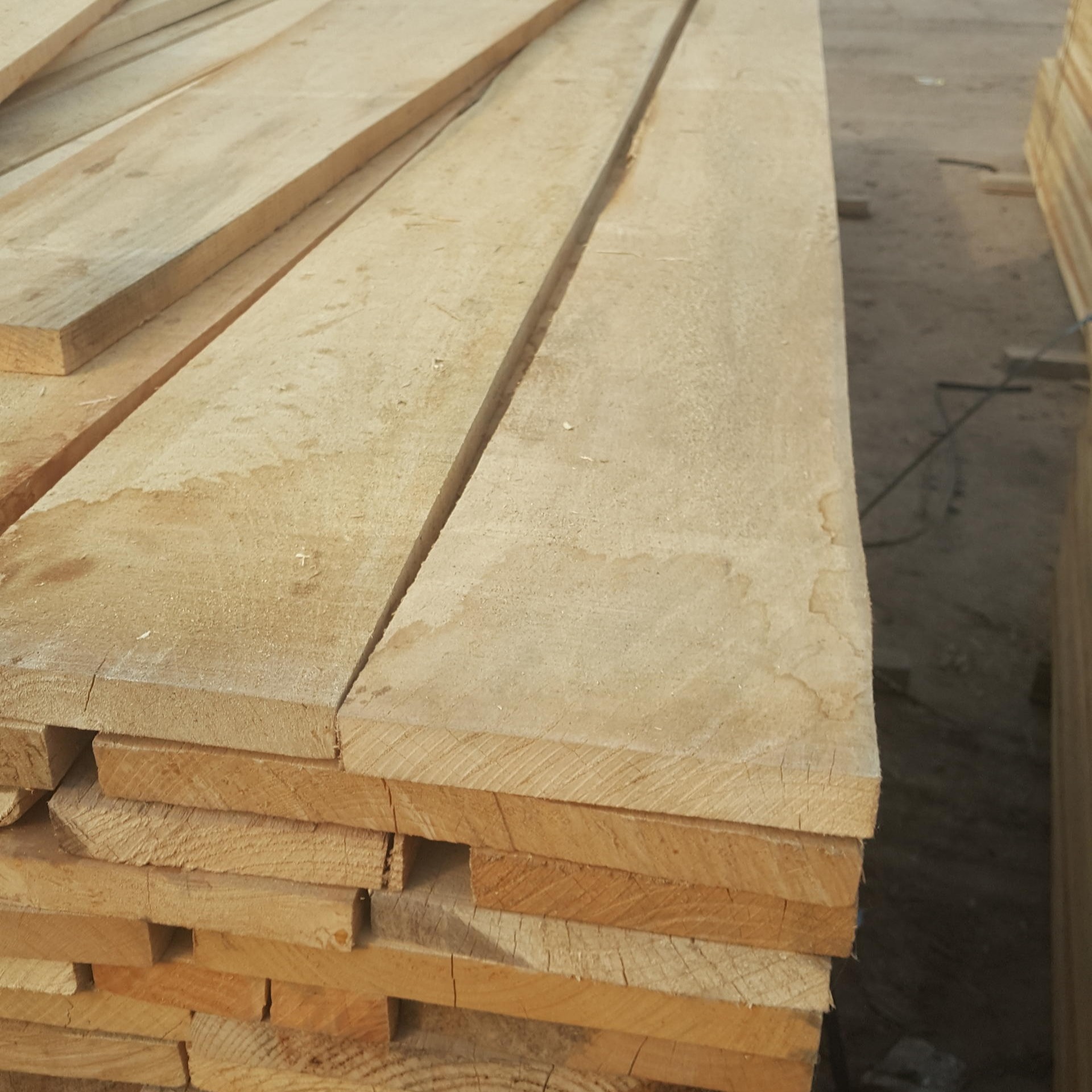 白椿木 烘干板材 供应 价格 厂家 椿木板材 建淼木业