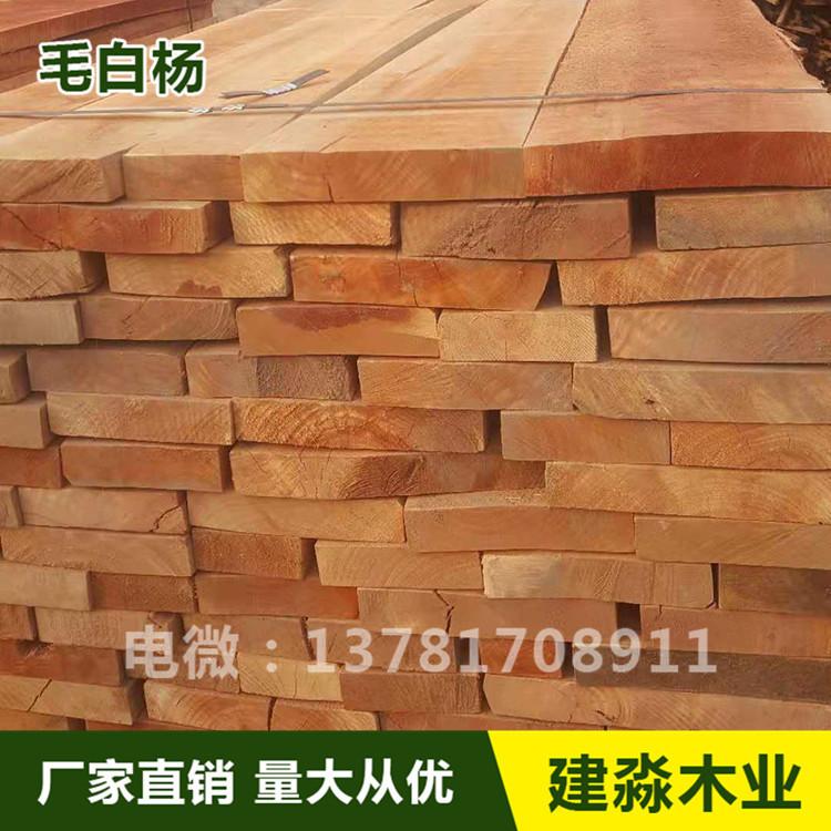 白杨木板材 椿木家具板材厂家首先河南建淼木业4