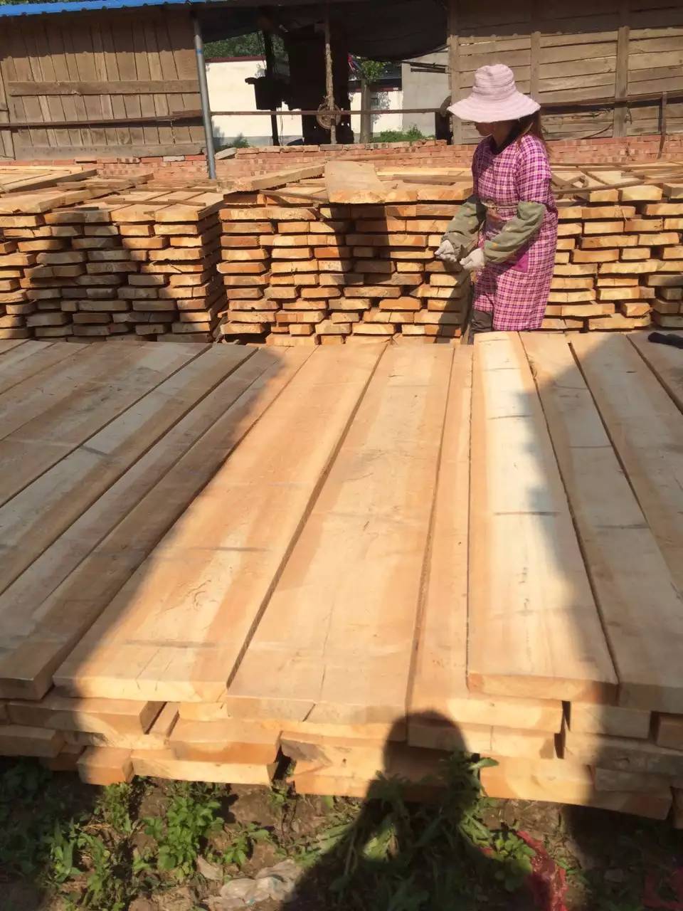 红椿木板材 白椿木烘干板材 厂家 木方 建淼木业 香椿木 价格2
