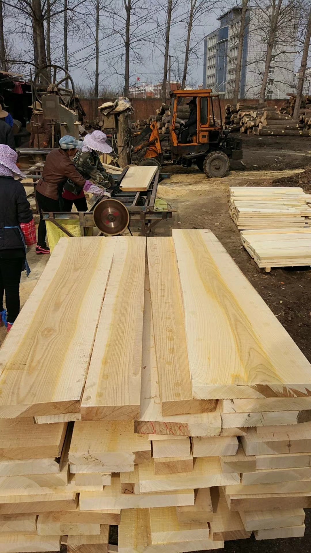 白杨木板材 椿木家具板材厂家首先河南建淼木业7