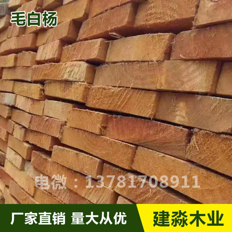 建淼木业 价格 供应 河南白杨木板材 白杨木烘干板材7