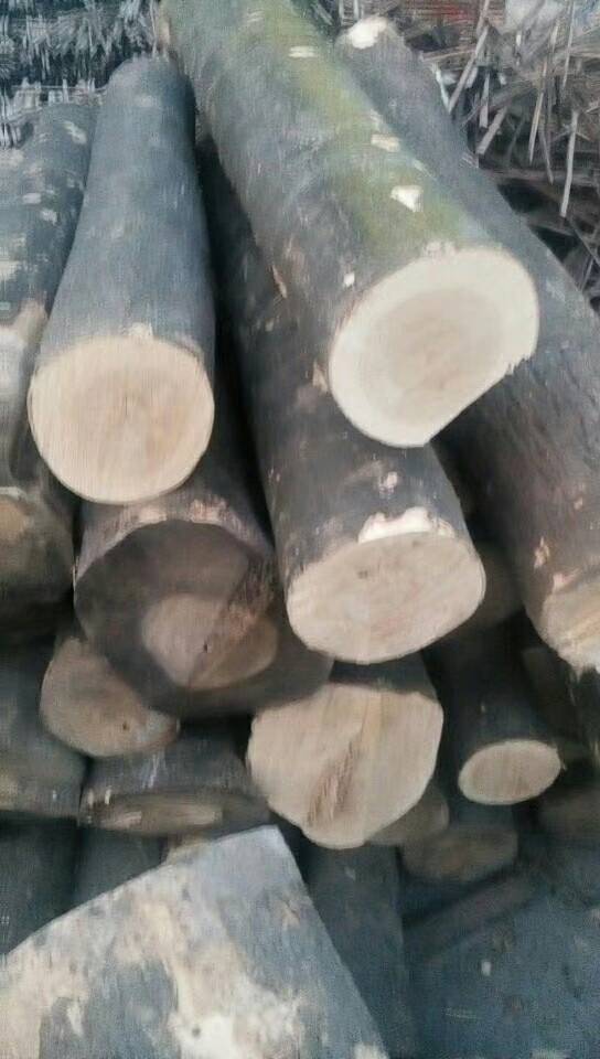 白杨木板材 椿木家具板材厂家首先河南建淼木业5