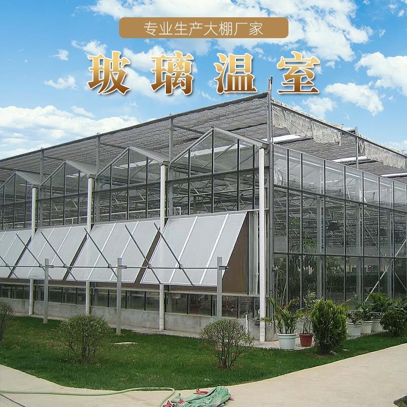 智能玻璃温室大棚加工生产 无土栽培草莓玻璃温室设计 浙江衢州温室大棚设计出图纸