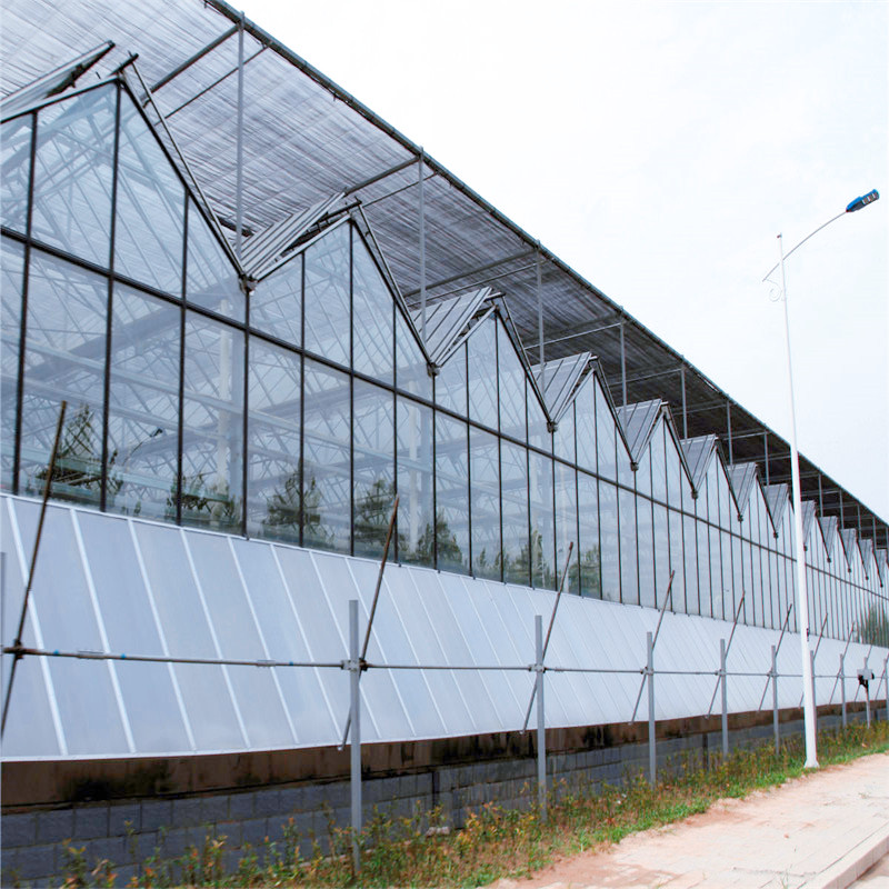 日光温室 连栋智能玻璃温室大棚建设厂家 钢架圆拱尖顶型温室大棚3