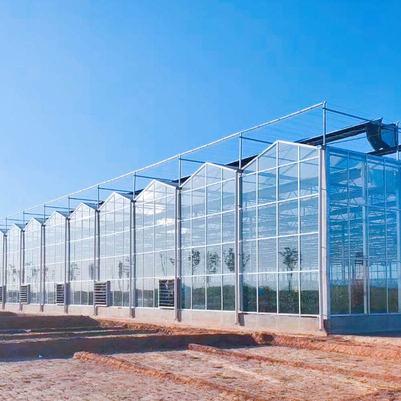 安徽蚌埠新型智能温室全自动配套设备批发 连栋玻璃温室保暖效果 养殖温室大棚通风排水设计3