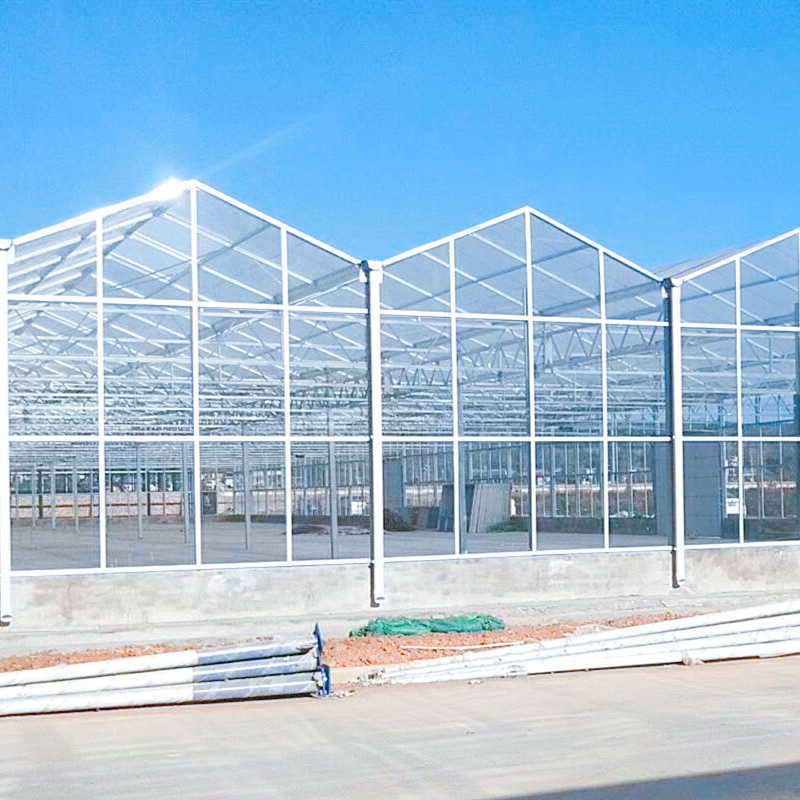智能温室大棚控温系统设计安装 新型玻璃温室提供技术指导 浙江海宁玻璃温室防虫防潮设计6