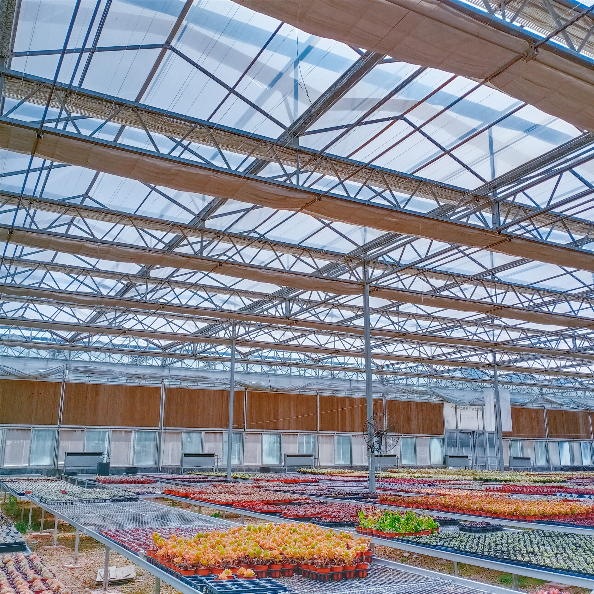 江苏徐州新型玻璃温室通风系统设计 智能玻璃温室全自动控温防虫设配批发 温室大棚农业养殖3
