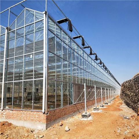 江苏无锡单双层玻璃温室大棚加工 养殖温室大棚按需定制 新型智能玻璃温室通风系统设计8